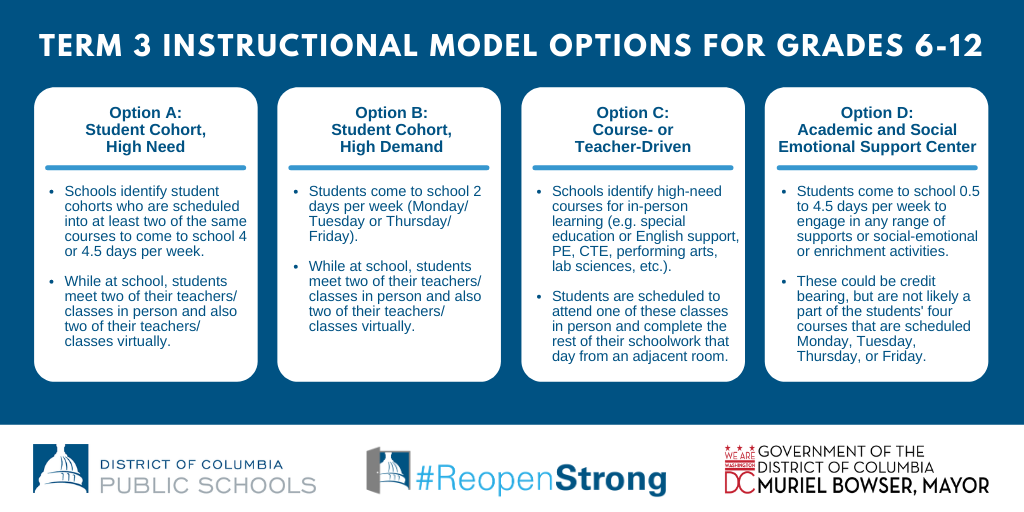 Learning Model Options Graphic Grades 6-12 - English